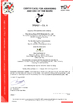 China Shandong Aisun Environmental Protection Material Co., Ltd. Certificações